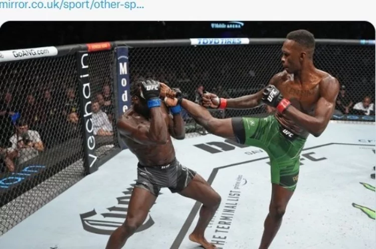 Hasil UFC 276 - Duel Lima Ronde Penuh, Israel Adesanya Kalahkan Si Gorila Pembunuh - Bolasport.com